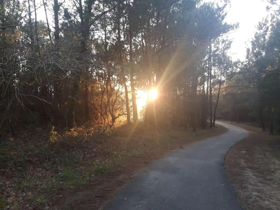 Vue Golf Dans Residence Nature "Sympalappart" Moliets-et-Maa Εξωτερικό φωτογραφία
