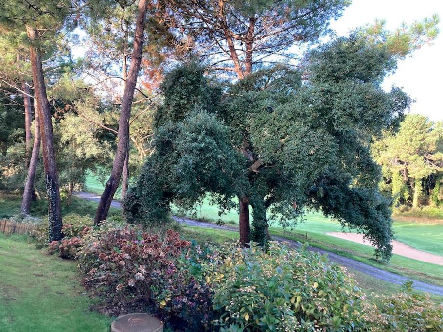 Vue Golf Dans Residence Nature "Sympalappart" Moliets-et-Maa Εξωτερικό φωτογραφία